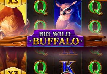 Игра Big Wild Buffalo в Martin казино